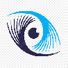 VISION